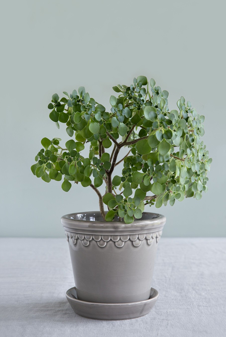 Koti Bergs Potter | Copenhagen Glazed 18, Pearl