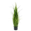 Koti Mr Plant | Heinaruukku Iso